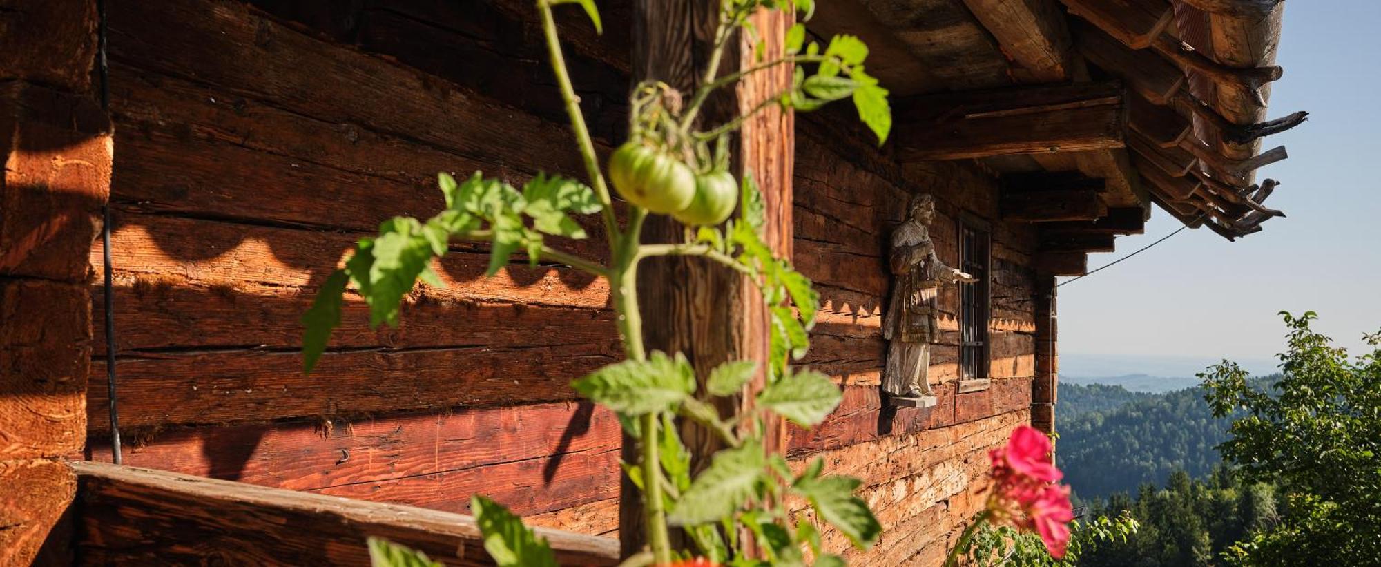 Chalets Toplak Sveti Duh na Ostrem Vrhu ภายนอก รูปภาพ