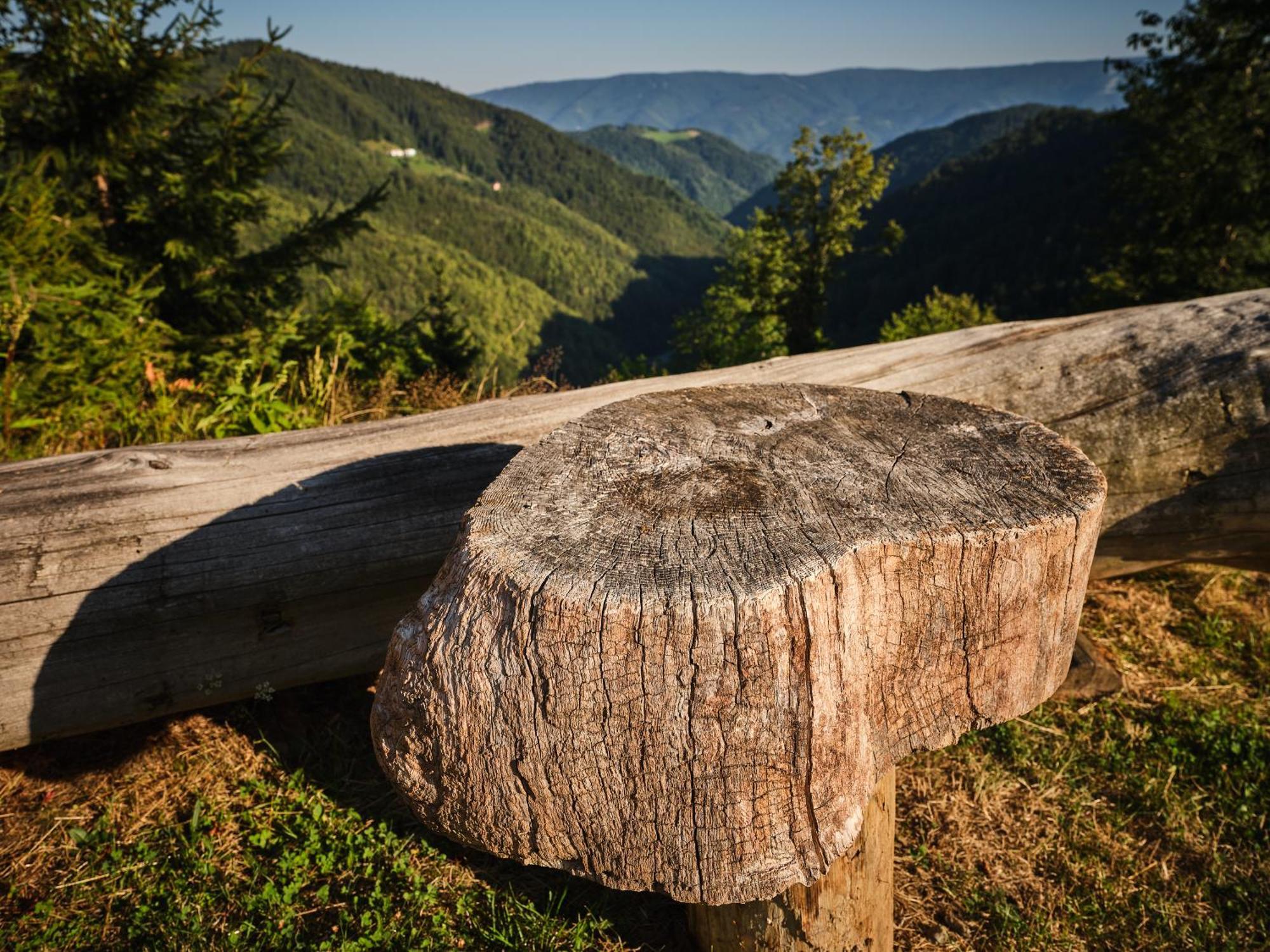 Chalets Toplak Sveti Duh na Ostrem Vrhu ภายนอก รูปภาพ