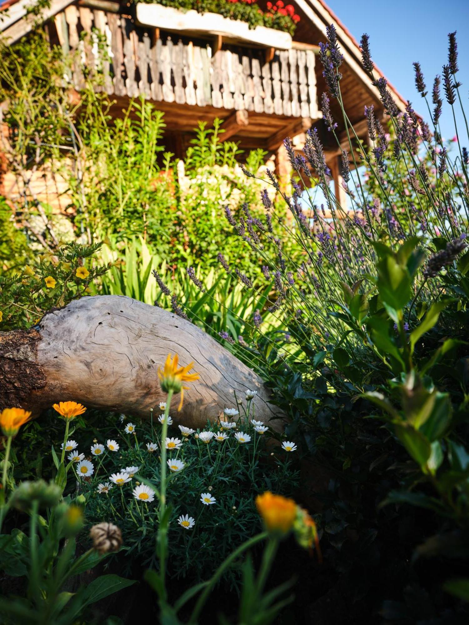 Chalets Toplak Sveti Duh na Ostrem Vrhu ภายนอก รูปภาพ