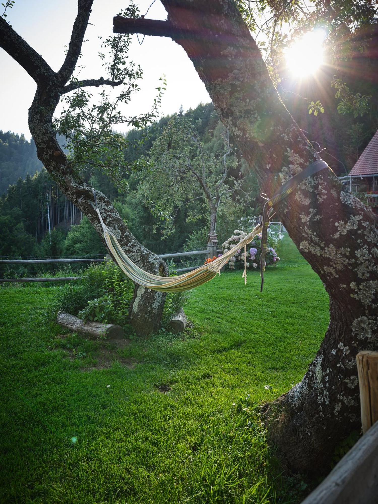Chalets Toplak Sveti Duh na Ostrem Vrhu ภายนอก รูปภาพ