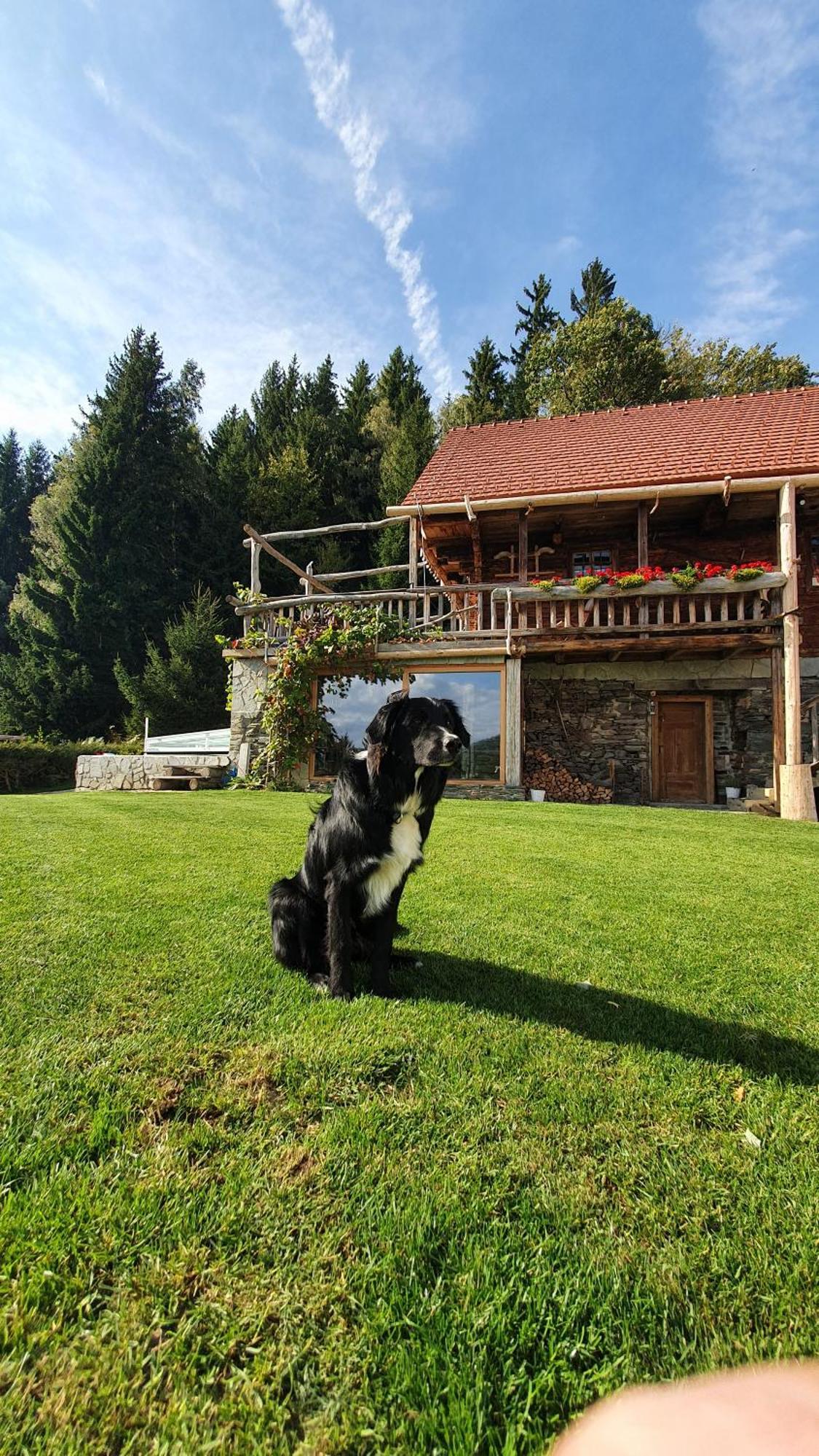 Chalets Toplak Sveti Duh na Ostrem Vrhu ภายนอก รูปภาพ
