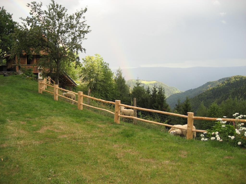 Chalets Toplak Sveti Duh na Ostrem Vrhu ภายนอก รูปภาพ